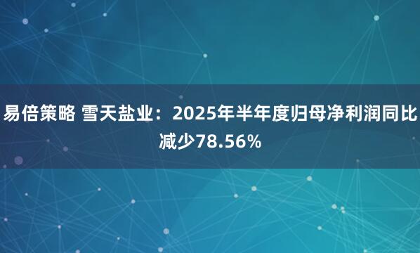 易倍策略 雪天盐业：2025年半年度归母净利润同比减少78.56%
